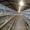 Suministro de la fábrica de Shandong tipo A gallinas de aves de corral galvanizadas capas de jaula para la venta